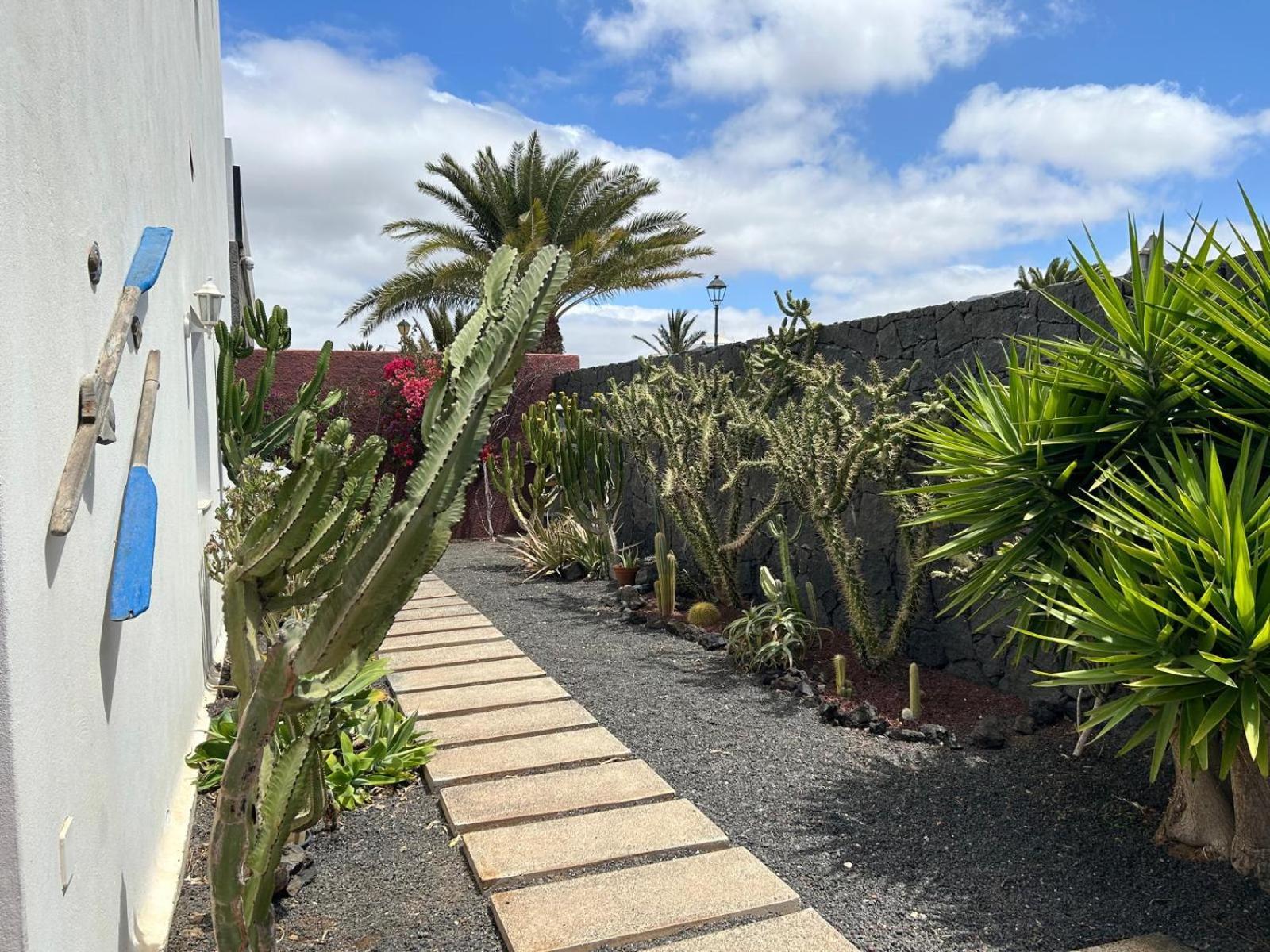 Villa Barracuda - "Seaview 3Min Walk To The Beach" 普拉亚布兰卡 外观 照片